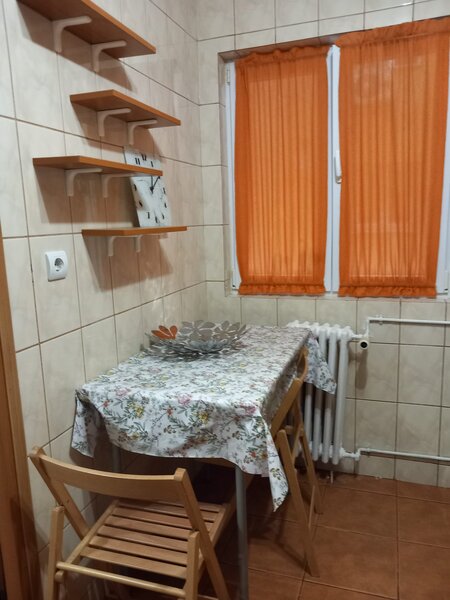 Doamna Ghica, Ion Berindei